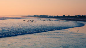 Fotos aus der Bretagne: Maritime Stimmung und interessante Perspektiven