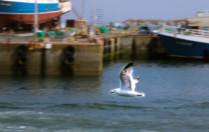 Fotos aus der Bretagne: Maritime Stimmung und interessante Perspektiven