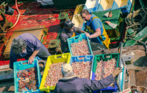 Fotos aus der Bretagne: Maritime Stimmung und interessante Perspektiven