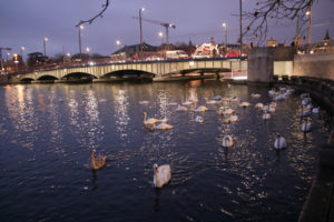 urban architecture from then and now, captured in Switzerland, Zürich