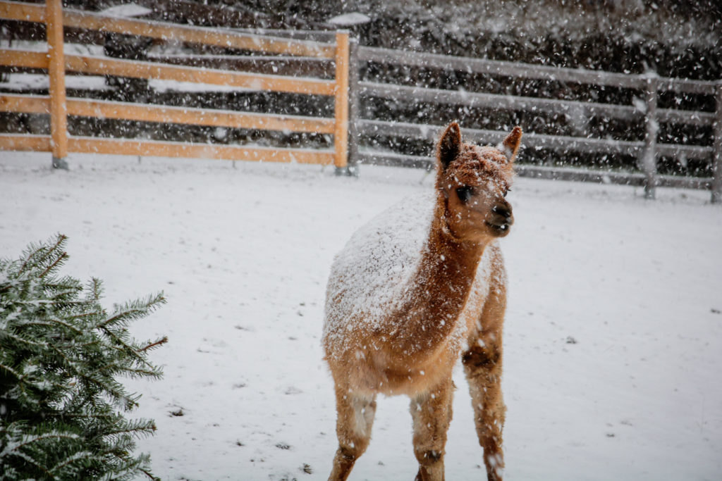 Sehenswürdigkeiten in Gotteszell, Spaziergang