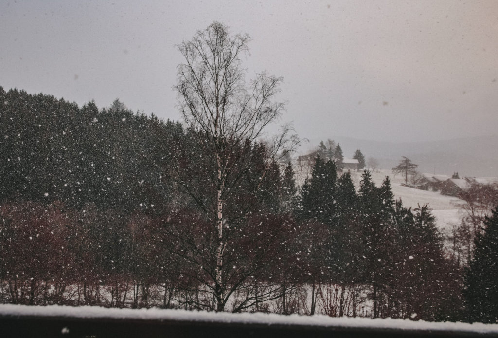 Gotteszell Ruhmannsfelden Winter