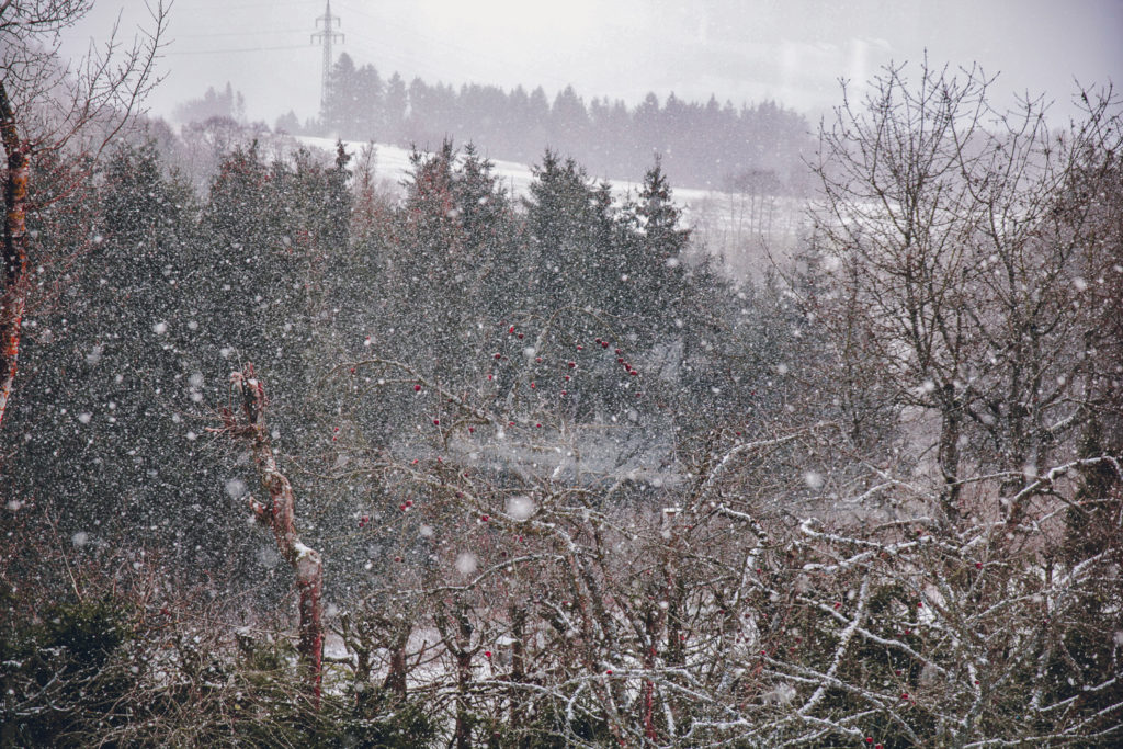 Kunst Artphotographie