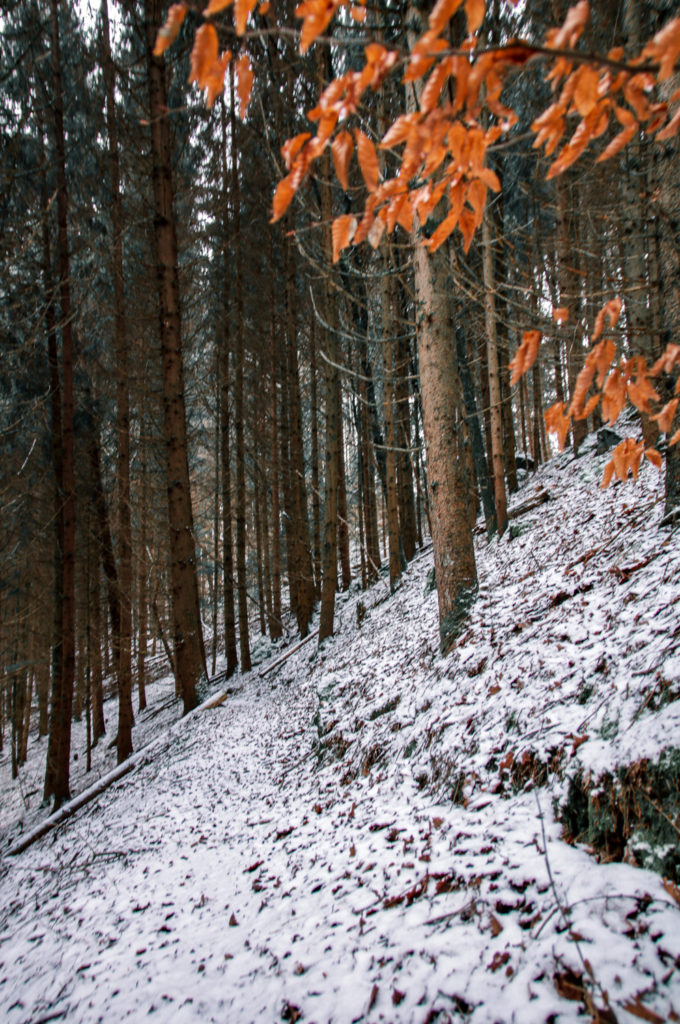 Sehenswürdigkeiten in Gotteszell, im Wals