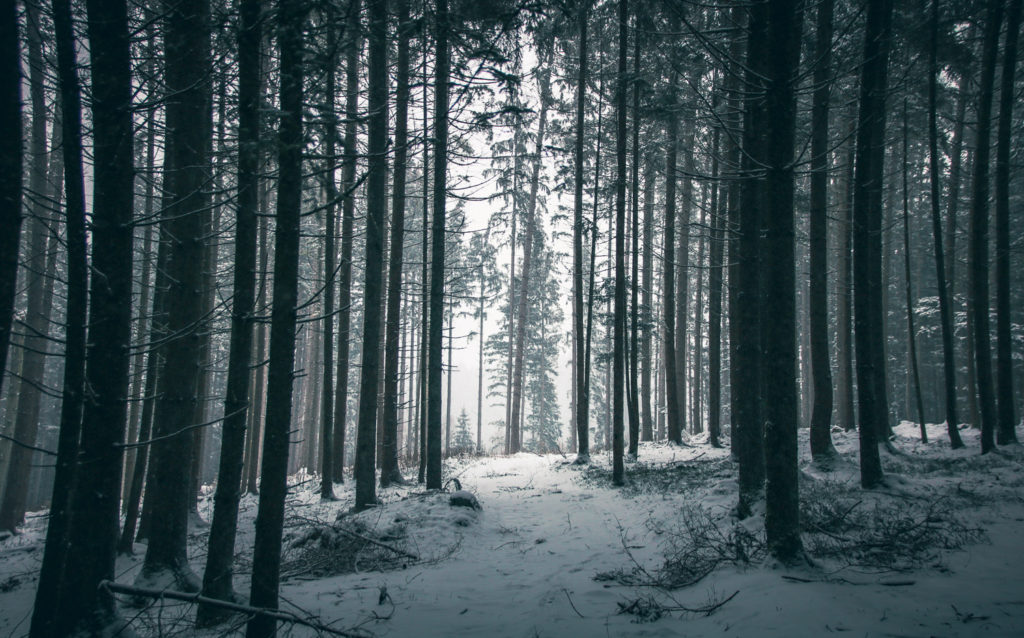 Fotografie Tipps in Niederbayern