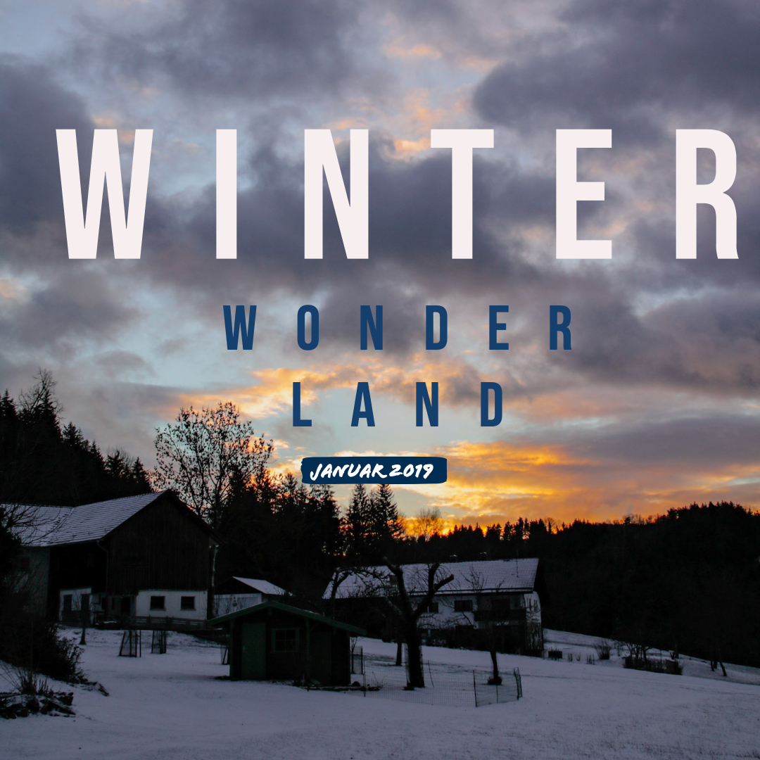 2019 Bilder aus dem verschneiten Bayern